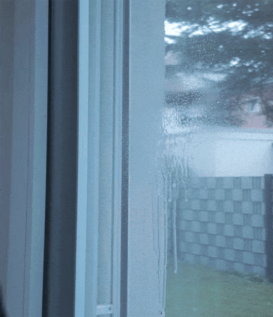 Window Wizard | Fenstertücher (2 Stk.)
